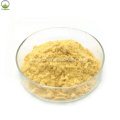 Anti-oxidation Oroxylum Indicum Extract 98% Chrysin Powder